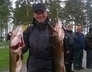 Sillanpäät hurjassa iskussa Evijärvellä